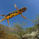 Illustration for article titled The Best Biology Photos Of 2014 Will Take You To Another World
